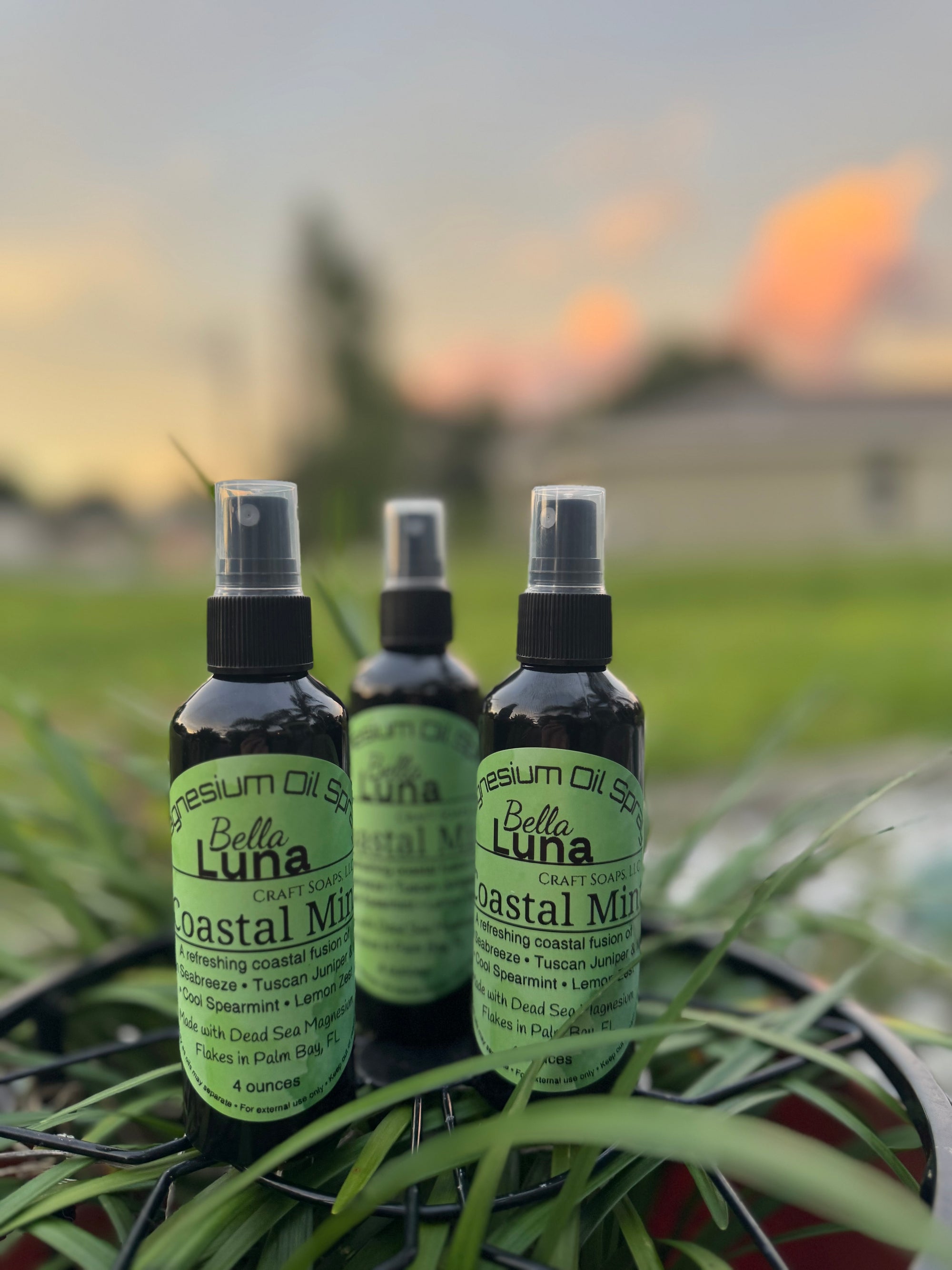 Magnesium Oil Spray