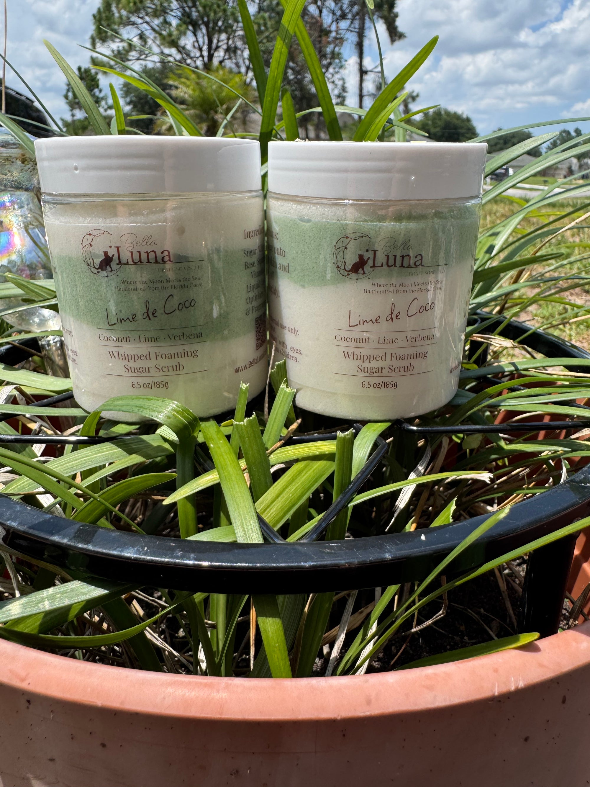 🥥 Lime de Coco Whipped Foaming Sugar Scrub