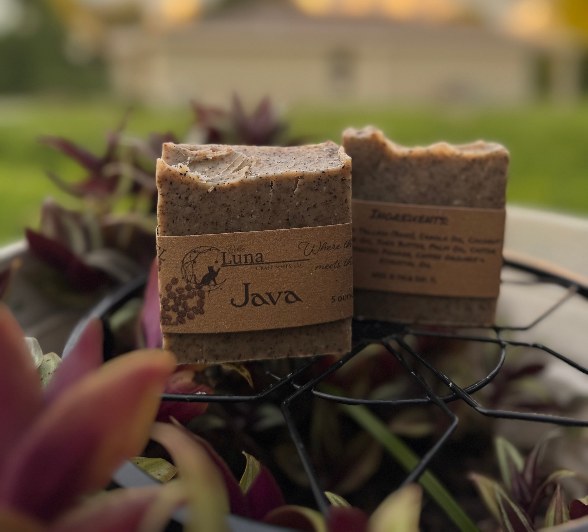 Java Coffee Soap Bar | Exfoliating & Energizing