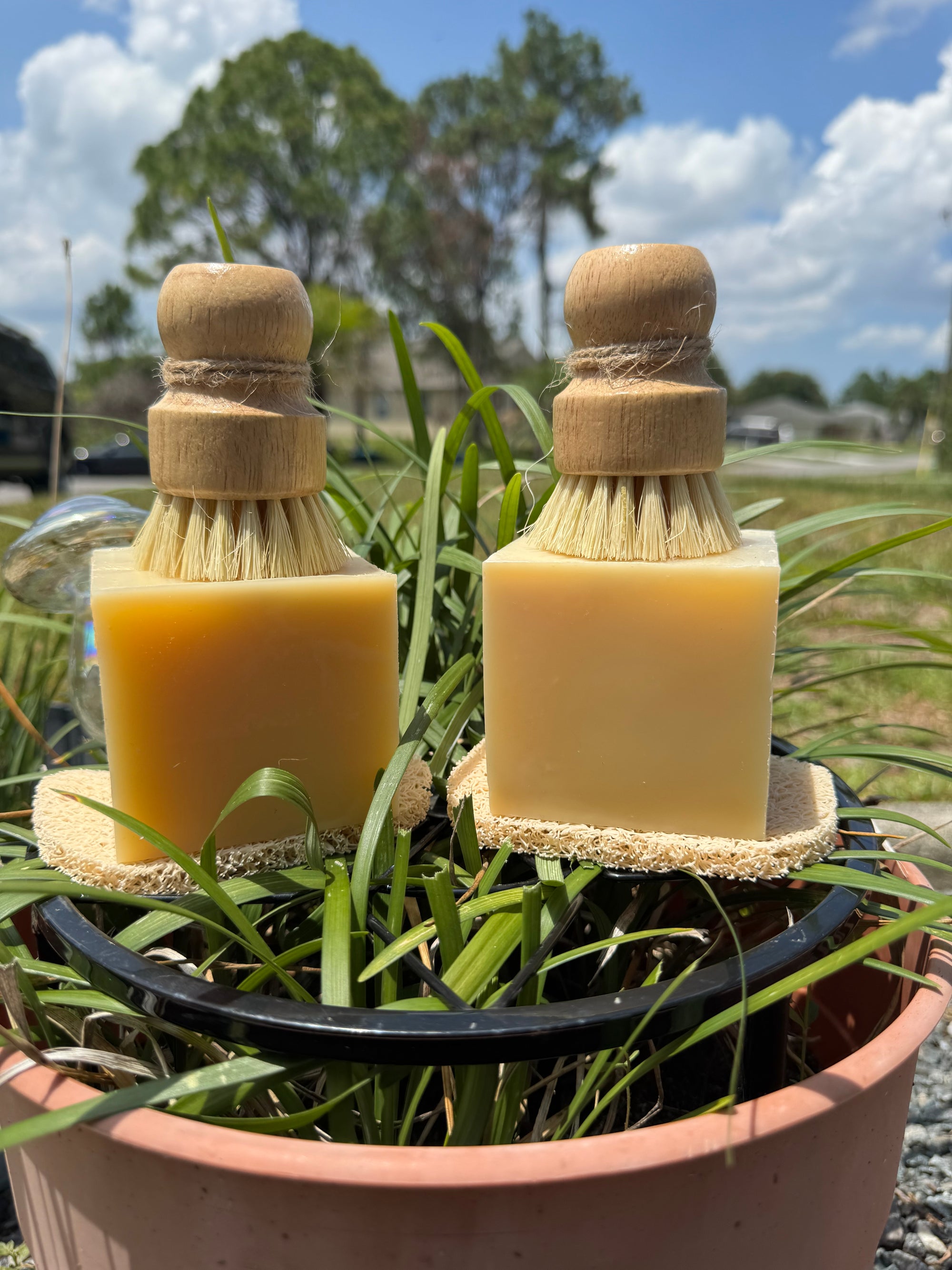 🧼 Solid Dish Soap Block