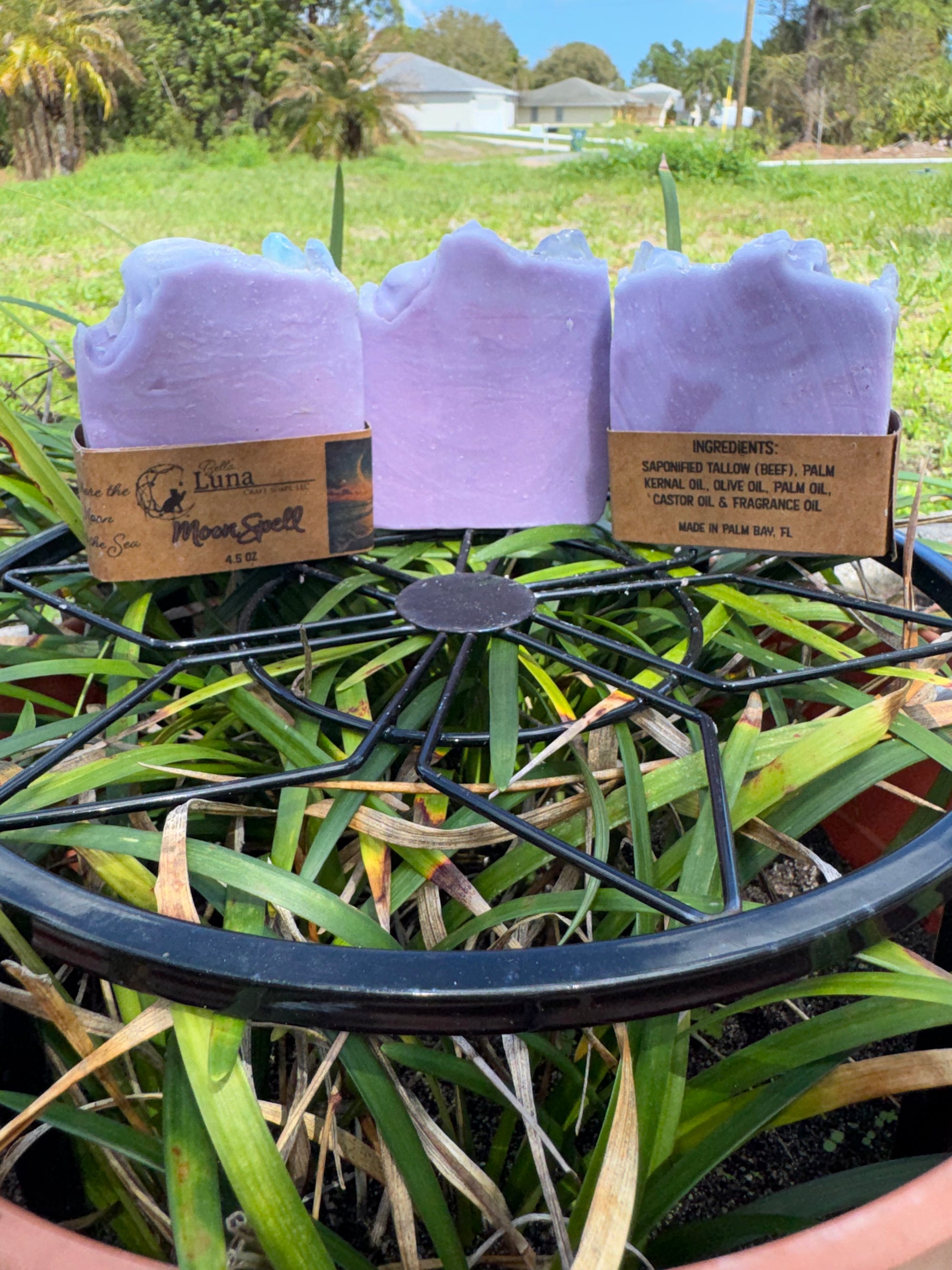Moon Spell Cold Process Soap Bat