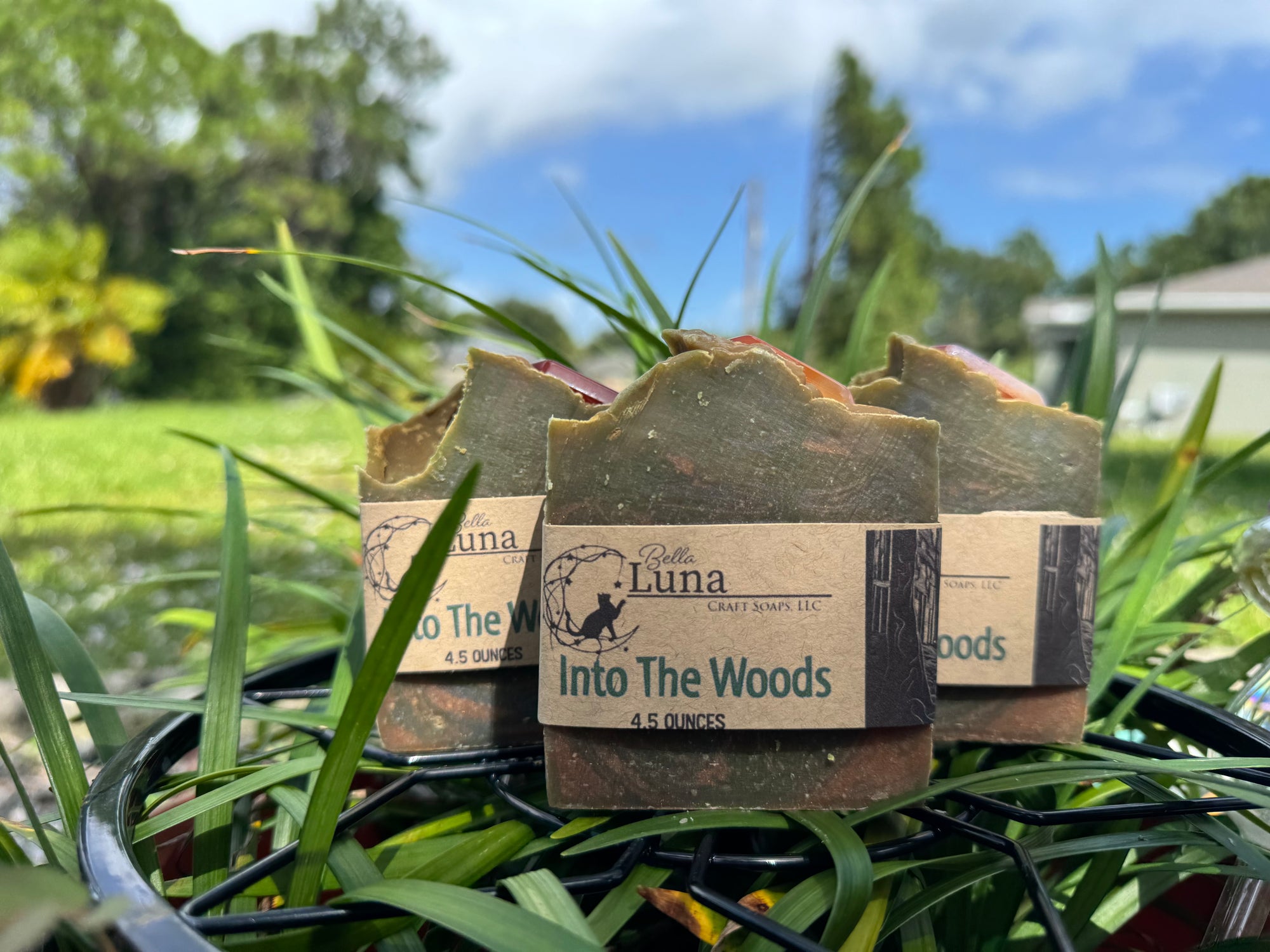 Into the Woods – Mahogany & Teakwood Soap 🌳