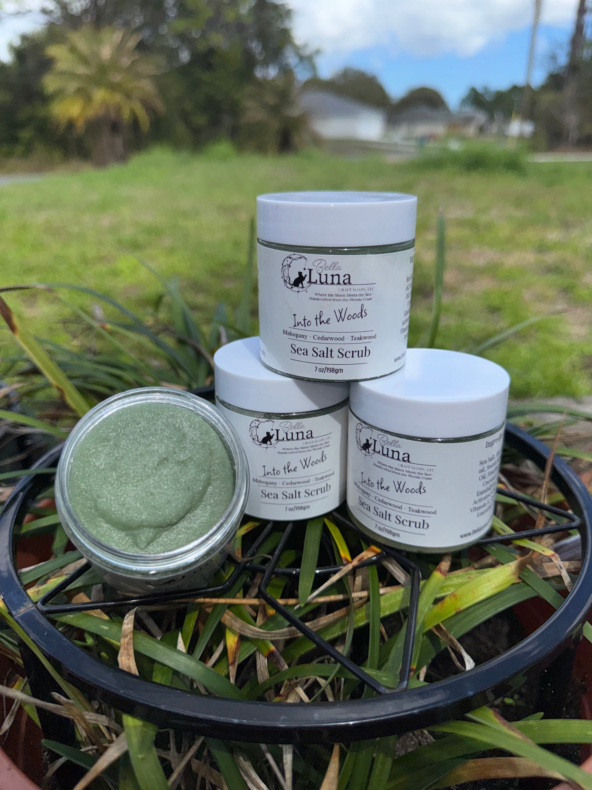 Into the Woods Sea Salt Scrub