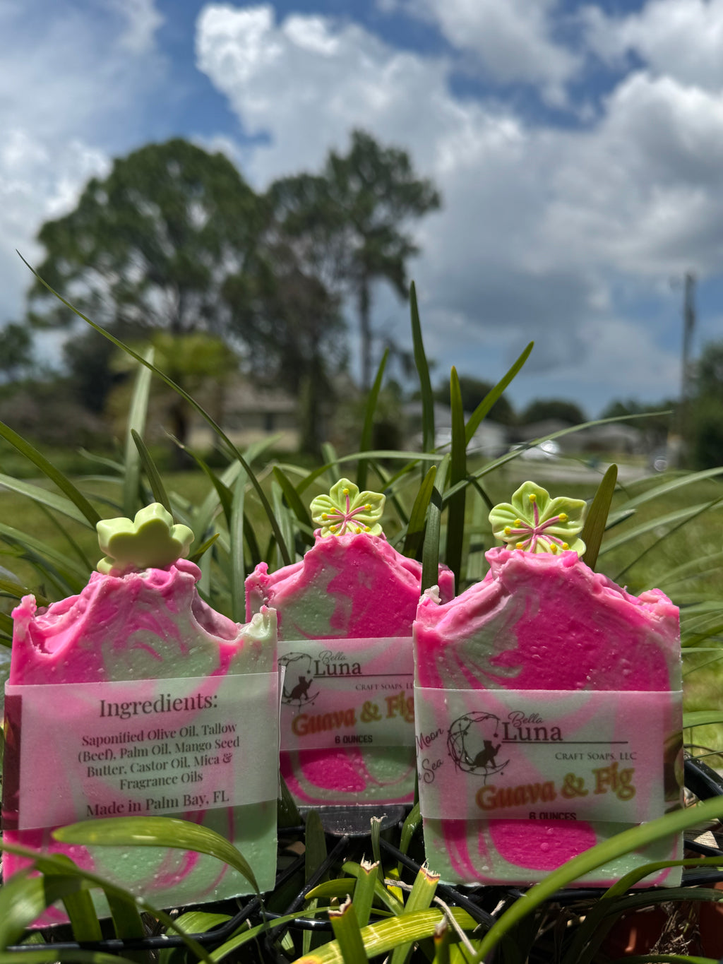 🌺 Guava & Fig – A Tropical Escape