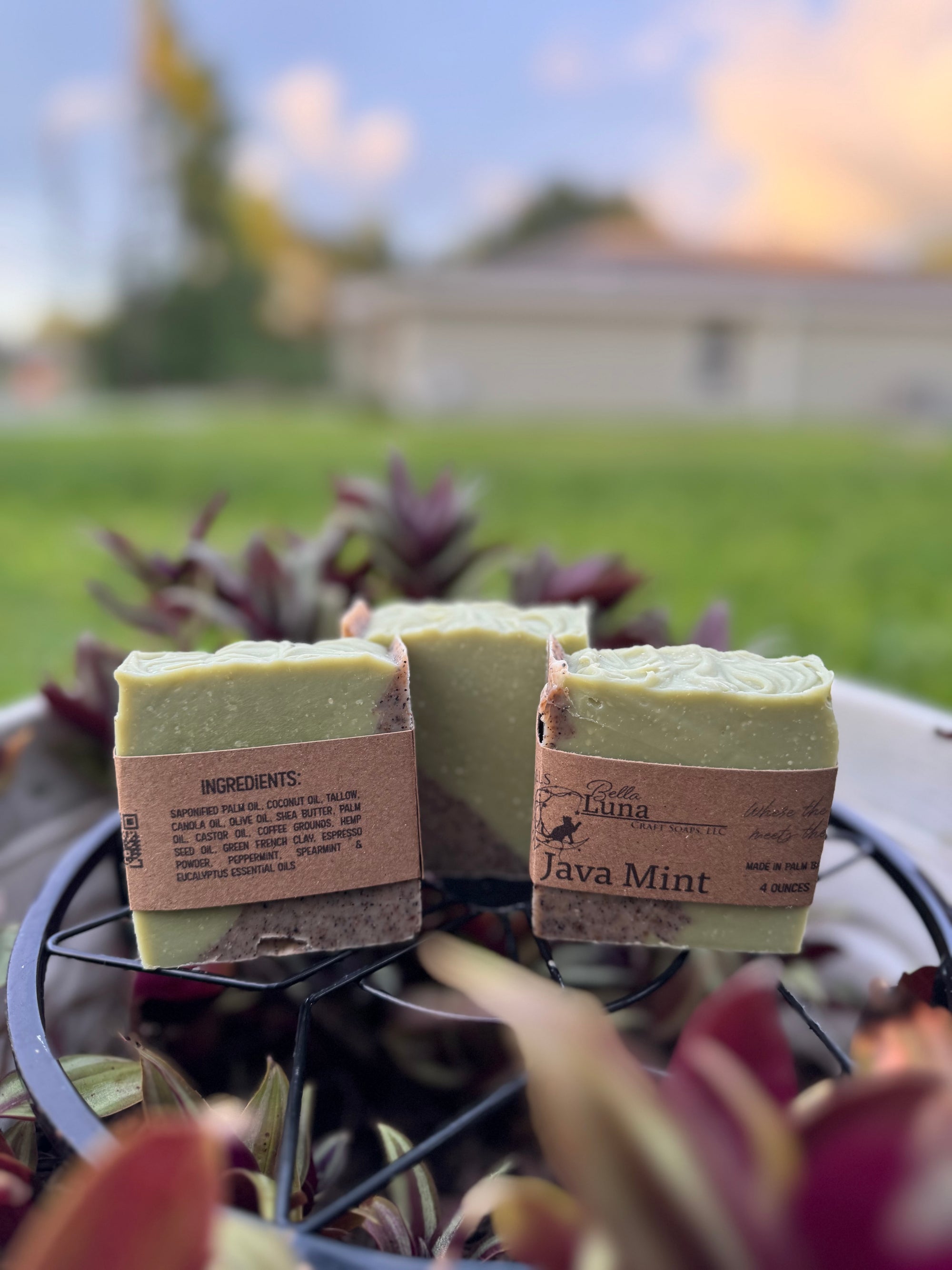 Java Mint