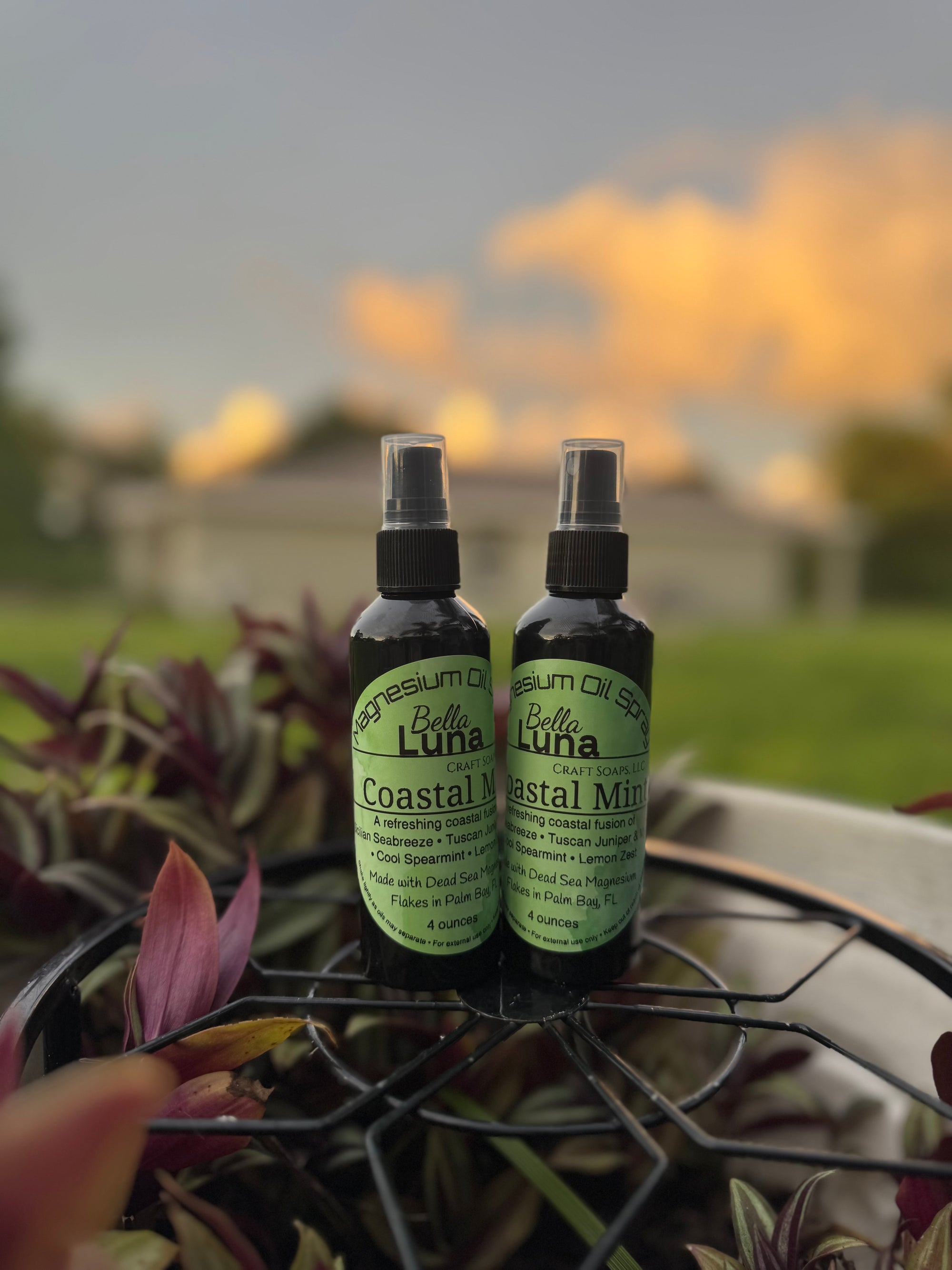 Magnesium Oil Spray