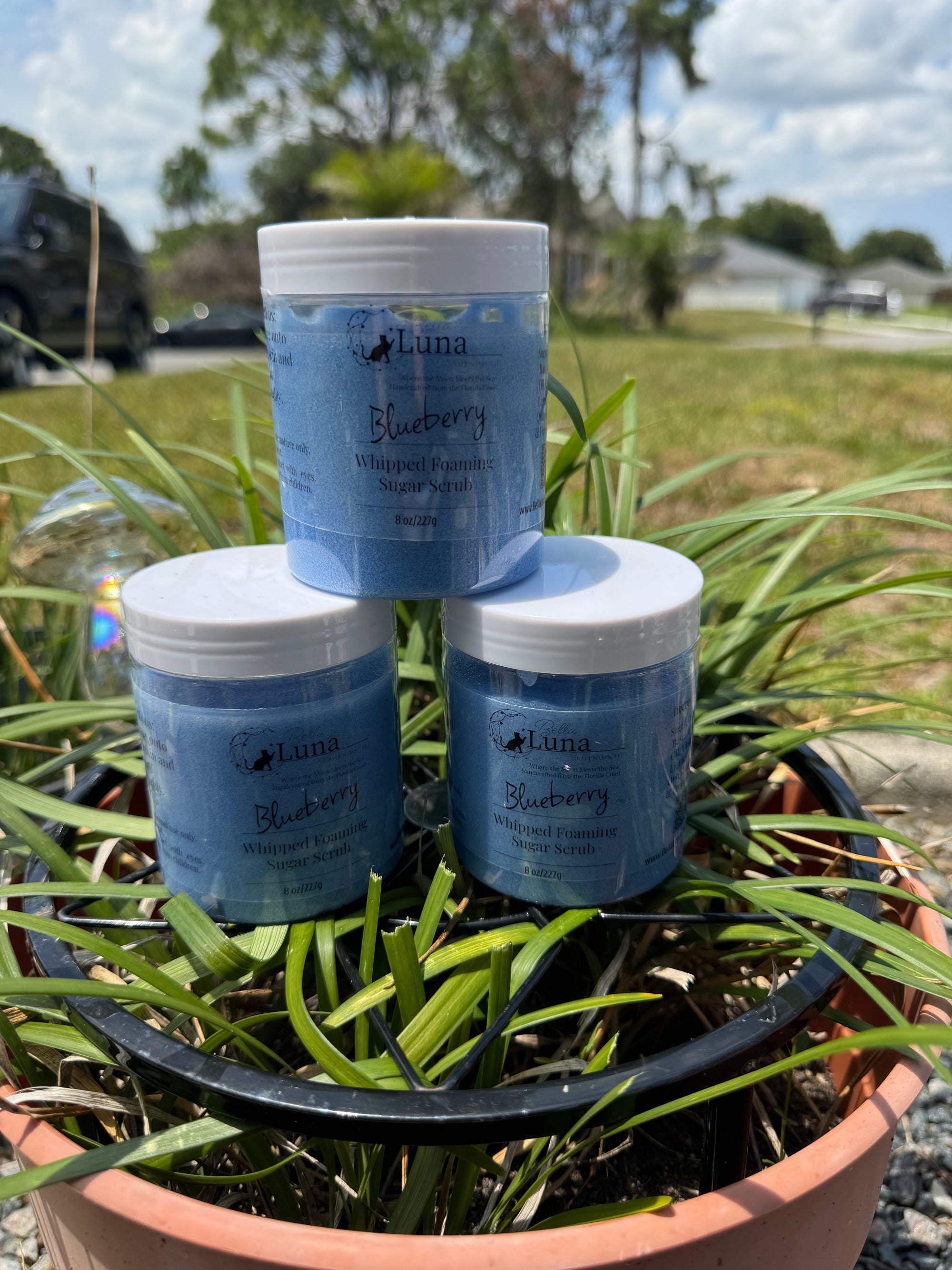 🫐 Blueberry Whipped Foaming Sugar Scrub