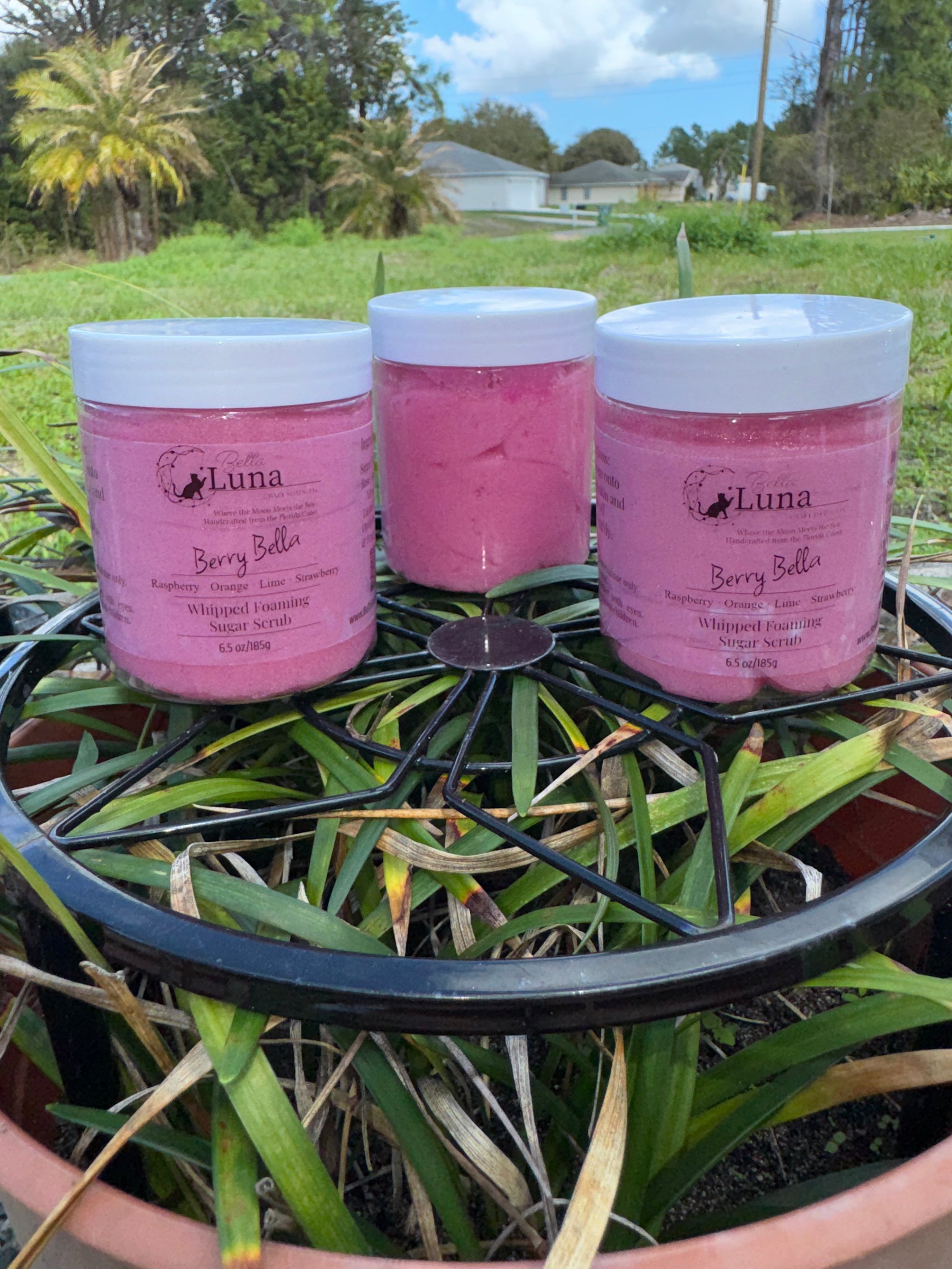 Berry Bella Whipped Foaming Sugar Scrub