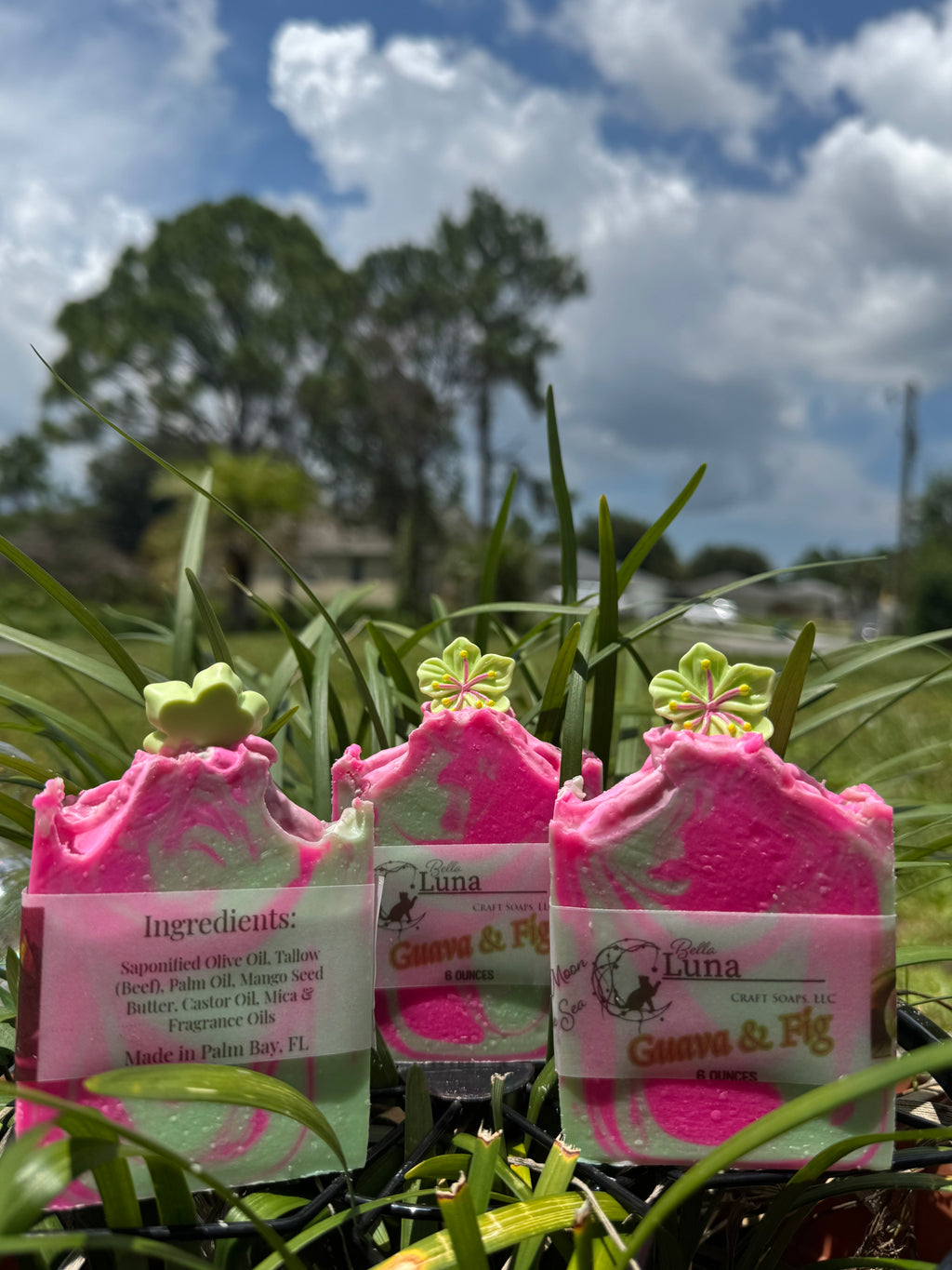 🌺 Guava & Fig – A Tropical Escape