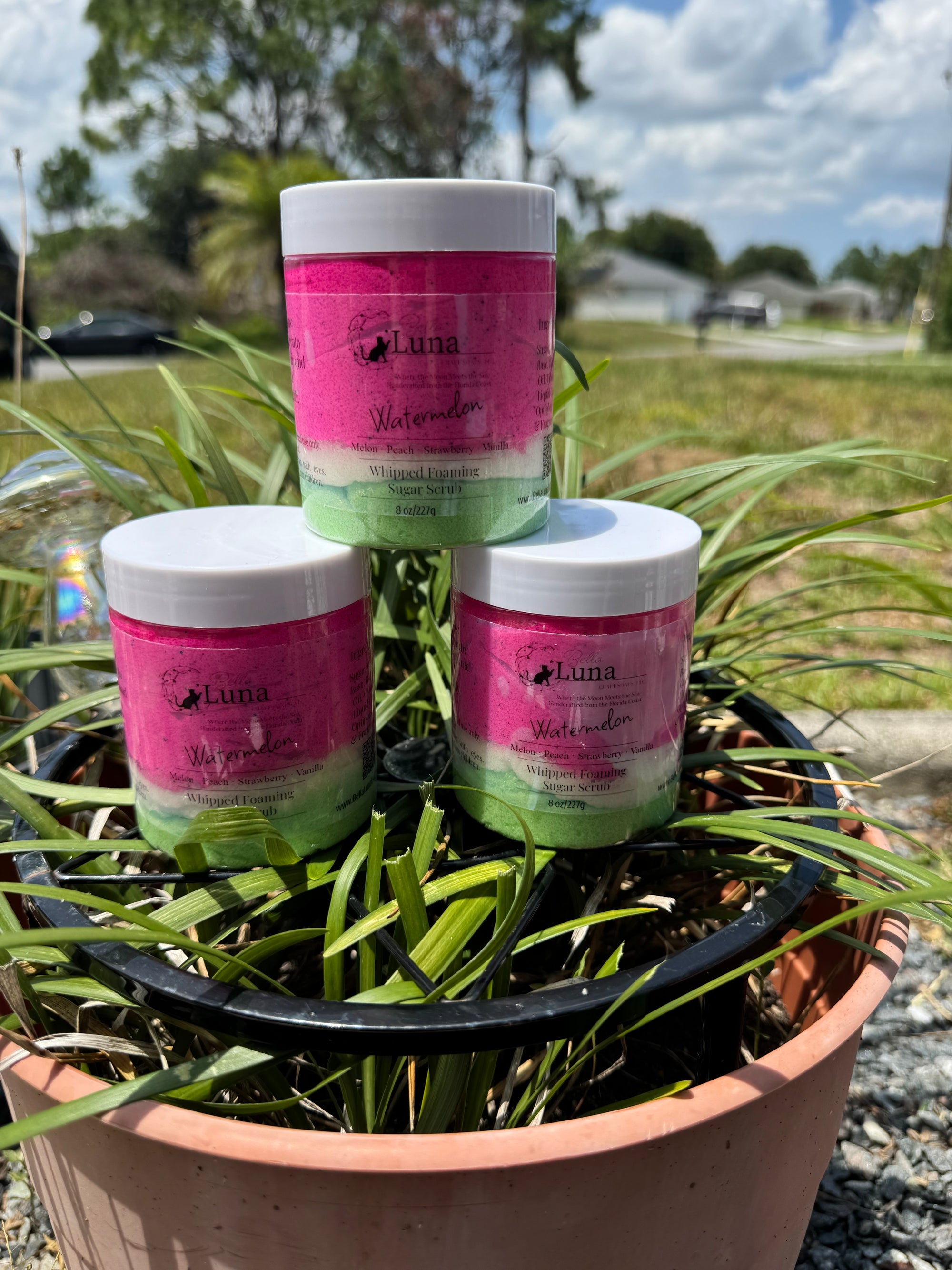 🍉 Watermelon Whipped Foaming Sugar Scrub