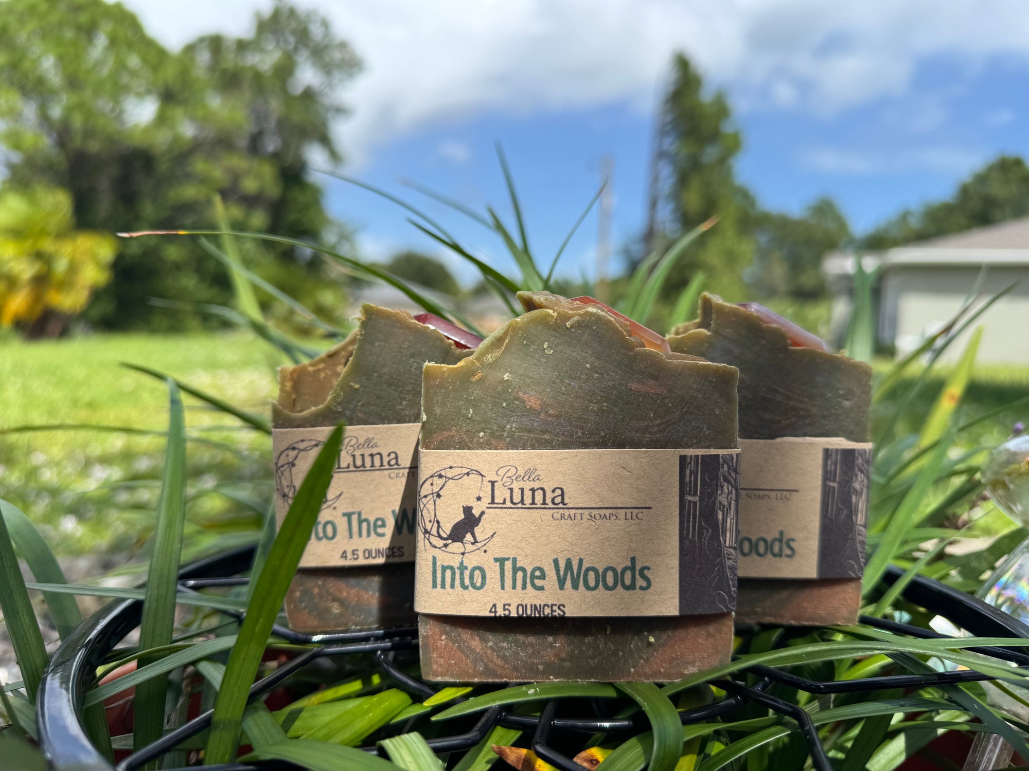 Into the Woods – Mahogany & Teakwood Soap 🌳