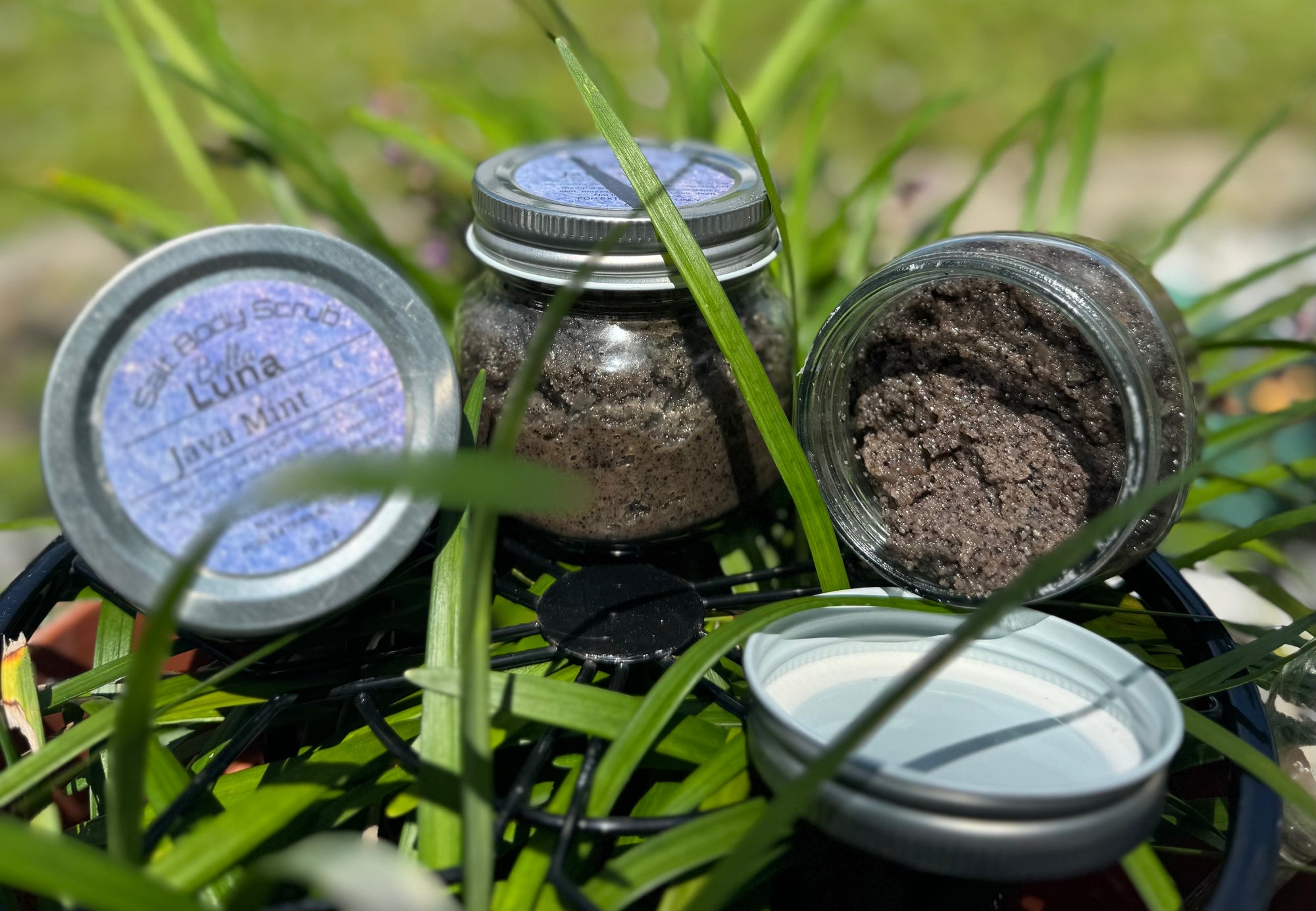 Java Mint Salt Scrub ☕️