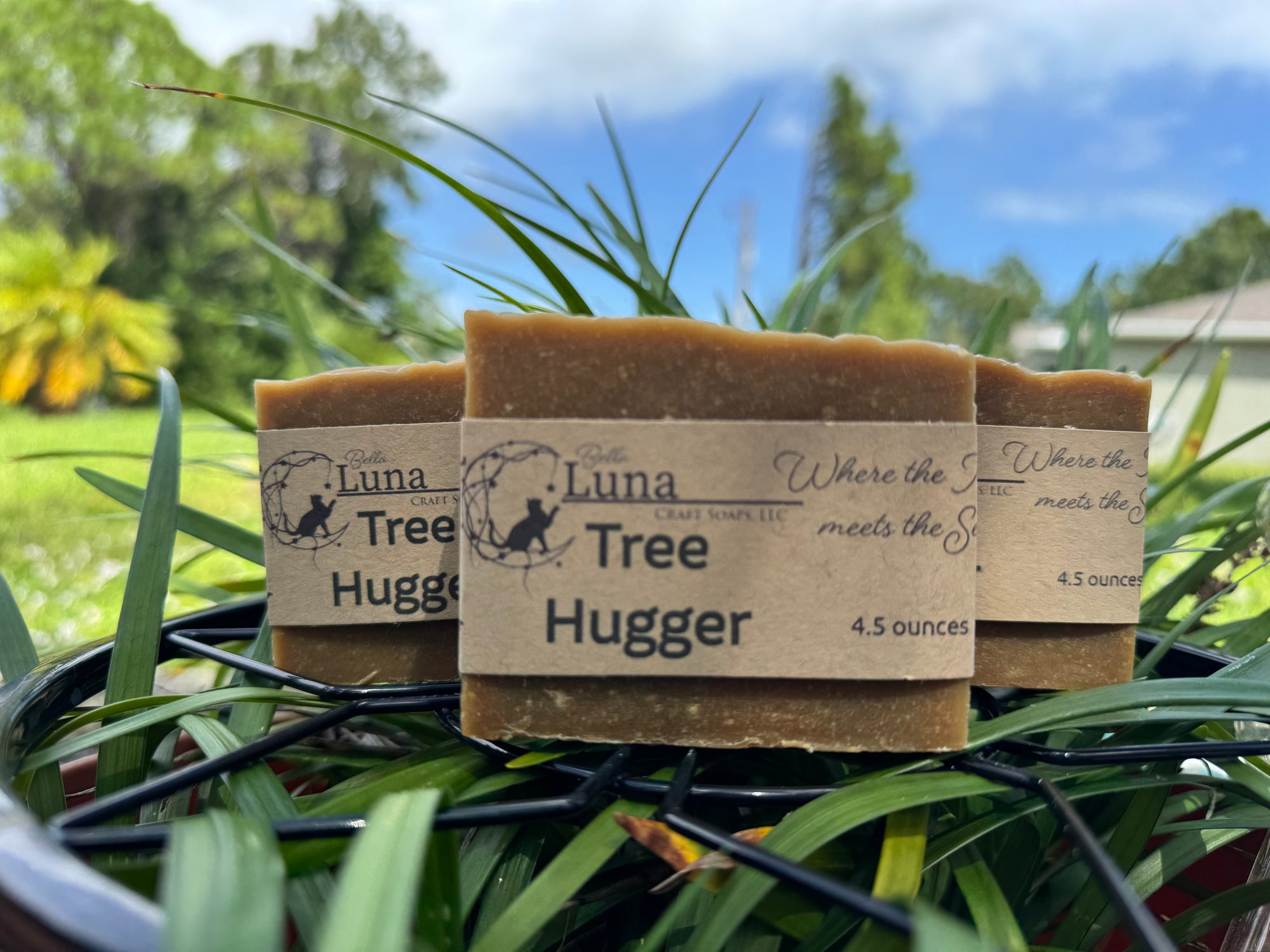 🌳 Tree Hugger – A Forest-Born Tribute